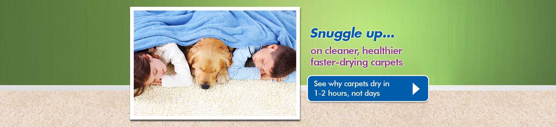 Why Chem-Dry Carpet Cleaning